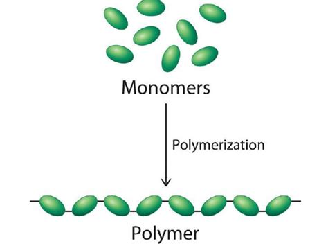 Is cotton a monomer?