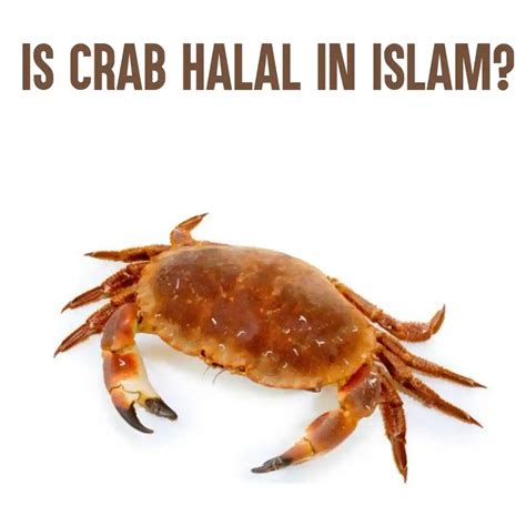Is crab halal in Islam?