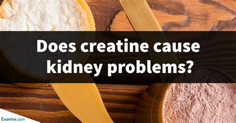 Is creatine safe for kidneys?