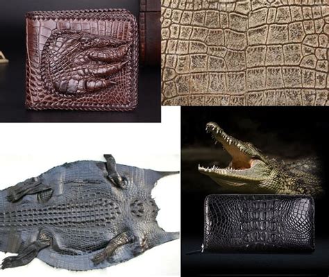 Is crocodile leather better than leather?