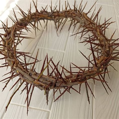 Is crown of thorns real?