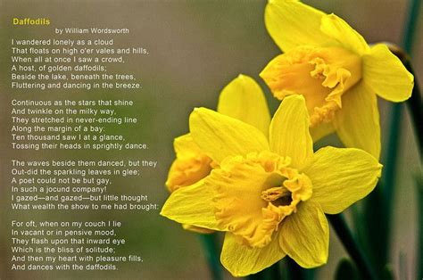 Is daffodils a happy poem?