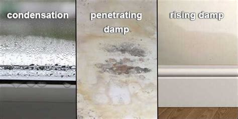 Is damp more common in winter?