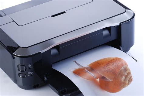 Is digital printer a type of printer?
