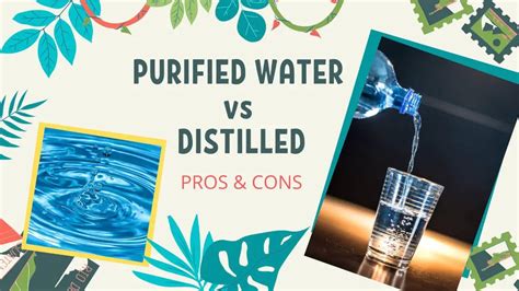 Is distilled water better than purified?