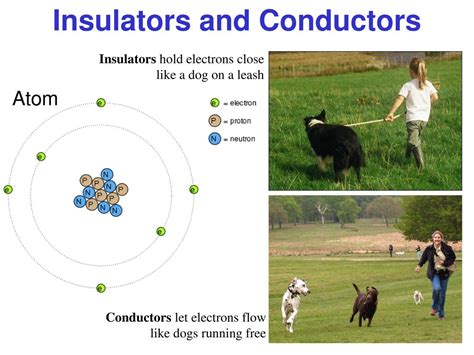 Is dog fur a conductor or insulator?