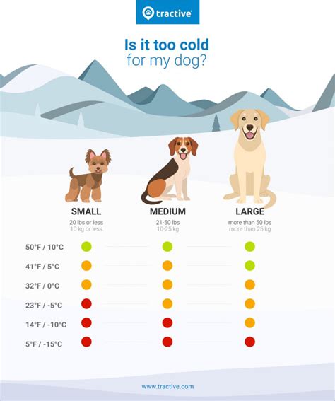 Is dog is sensitive to temperature?