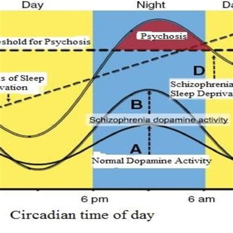 Is dopamine highest in the morning?