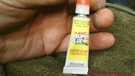 Is dried super glue toxic to dogs?