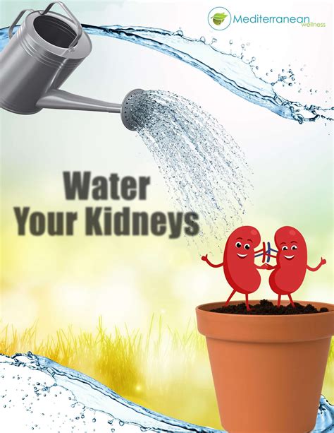 Is drinking water at night bad for kidneys?