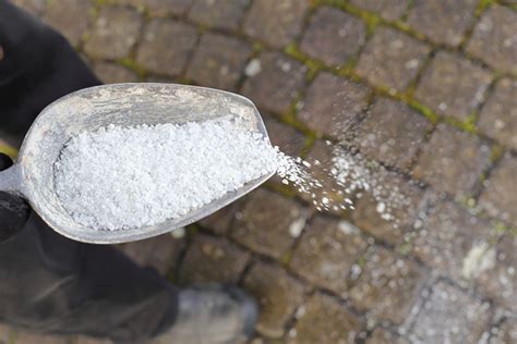 Is driveway salt toxic?