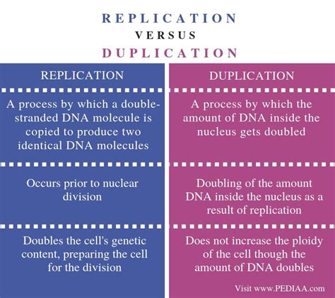 Is duplicate the same as replica?