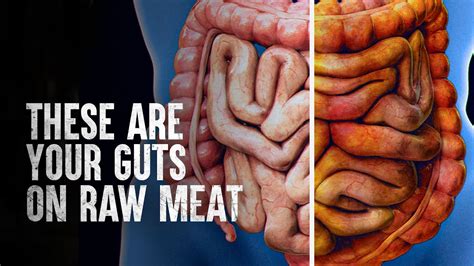 Is eating meat necessary for survival?