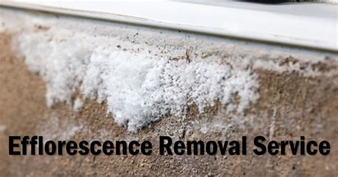 Is efflorescence harmful to humans?