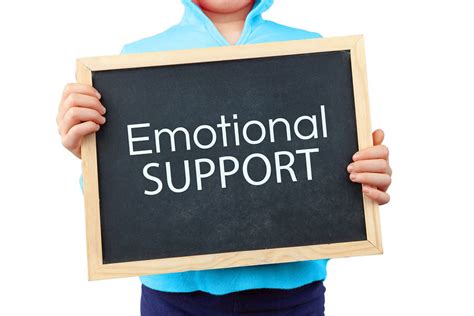 Is emotional support a basic need?