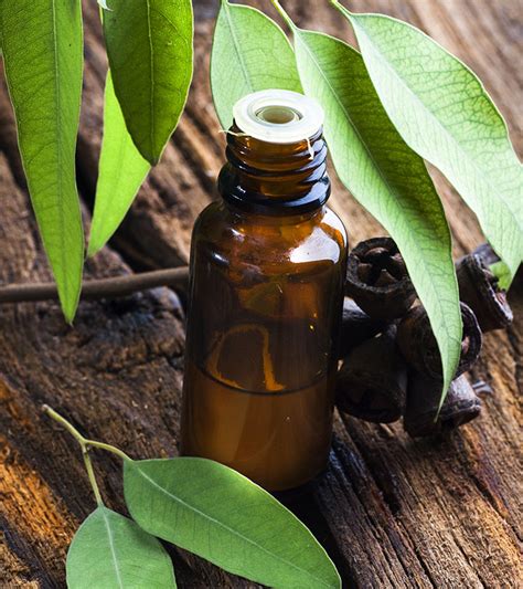 Is eucalyptus oil cooling?