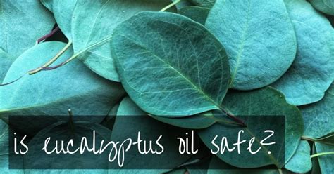 Is eucalyptus safe for babies?