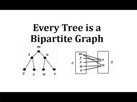 Is every bipartite graph a tree?