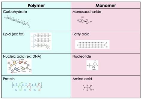 Is every molecule a monomer?