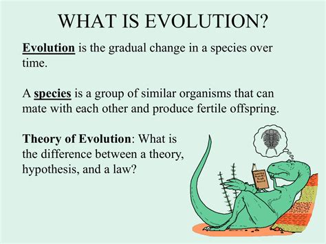 Is evolution a fact or a theory?