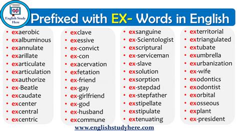 Is ex wife a prefix?
