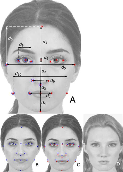 Is facial attractiveness genetic?