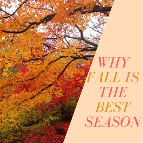Is fall the best season?