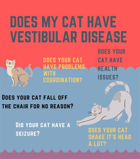 Is feline vestibular disease fatal?