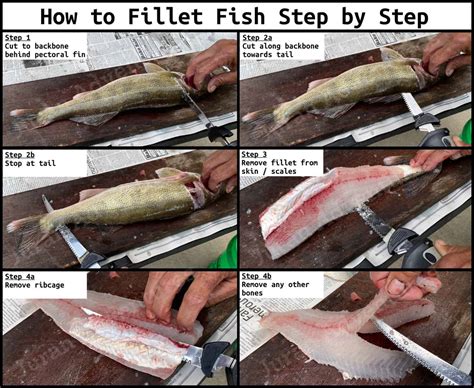 Is filleting a fish wasteful?