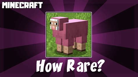 Is finding a pink sheep in Minecraft rare?