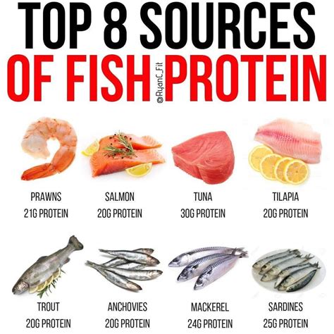 Is fish 100 percent protein?