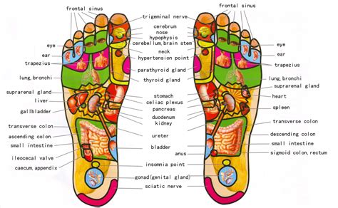 Is foot reflexology good for you?
