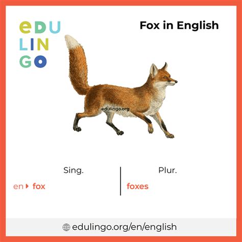 Is fox plural?