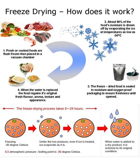 Is freeze-drying the same as freezing?