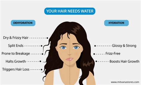 Is frizzy hair dry or dehydrated?
