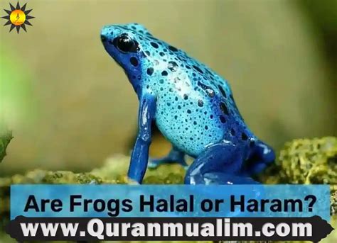 Is frog a halal?