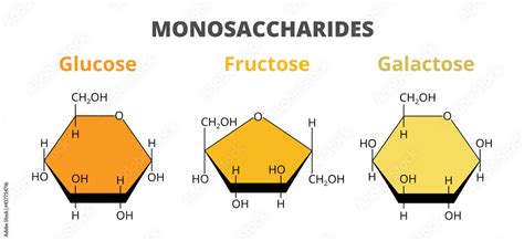 Is fructose A monomer?