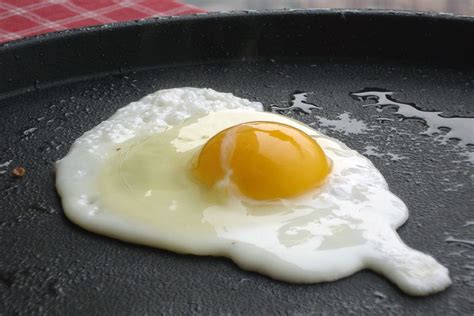 Is frying an egg endothermic or exothermic?