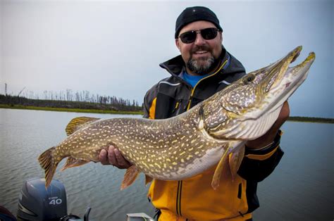 Is full moon good for pike fishing?