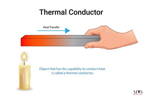 Is fur a good conductor of heat?