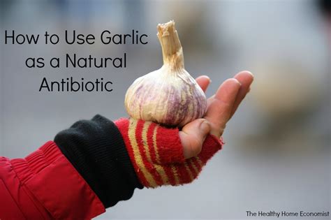 Is garlic a natural penicillin?