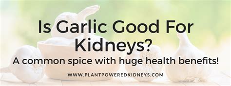 Is garlic good for kidney?