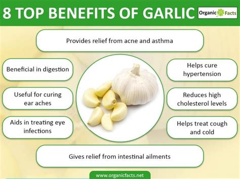 Is garlic more powerful than tetracycline?