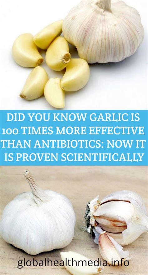 Is garlic proven 100 times more effective than antibiotics?