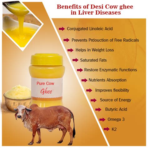 Is ghee hard on liver?