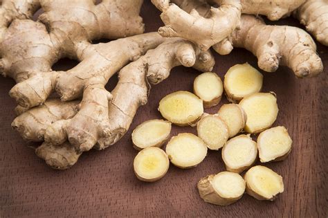 Is ginger a steam or root?