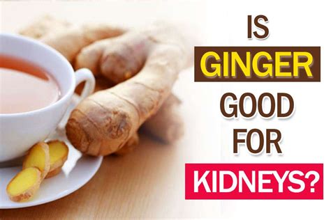 Is ginger bad for liver and kidney?