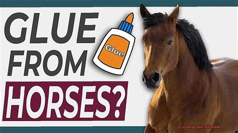 Is glue made from horses still?