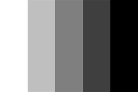 Is gray not black or white?