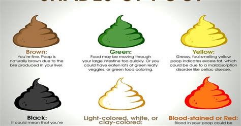 Is green vomit bad?